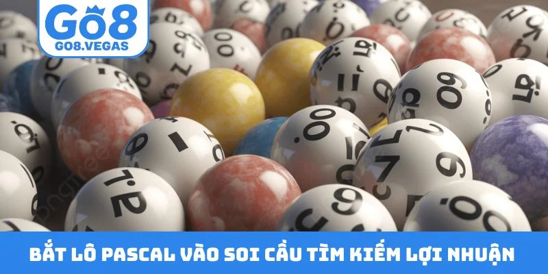Bắt lô pascal vào soi cầu tìm kiếm lợi nhuận như ý Bắt lô pascal vào soi cầu tìm kiếm lợi nhuận như ý