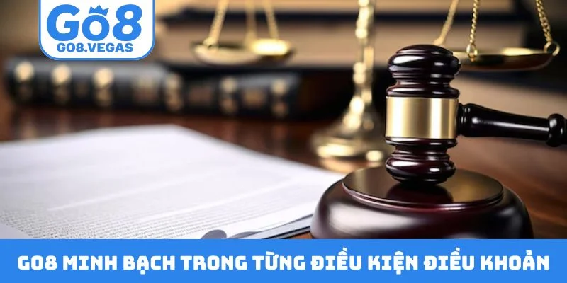 GO8 minh bạch trong từng điều kiện điều khoản